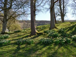 Crogen Wing - Llandrillo - 3