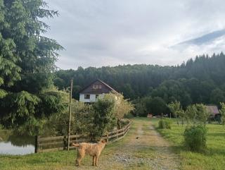 Cabana Țibleș Bichigiu - - 9