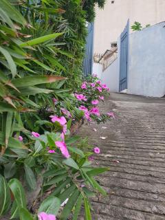 Nha Xanh Ha Long Homestay - Ha Long - 3