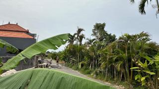 Villa Sachi - Ketewel - 8
