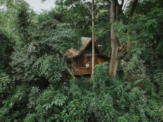 Our Jungle House - 9