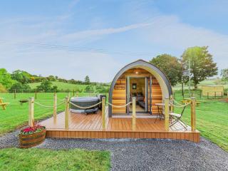 Oak-Uk36258 - Llanfair Caereinion - 8