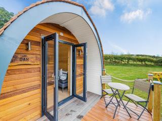 Oak-Uk36258 - Llanfair Caereinion - 7