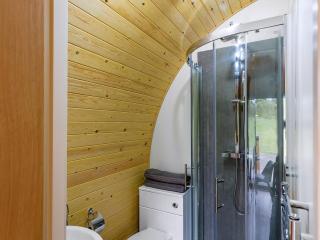 Oak-Uk36258 - Llanfair Caereinion - 3