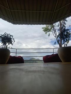 Urban roots lodge - Ella - 8