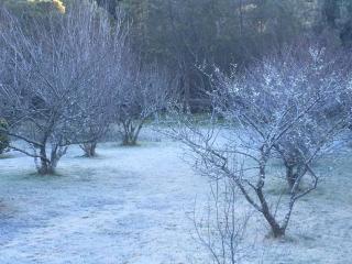 Le Dahlia - Jardin nature aux portes du volcan - 9