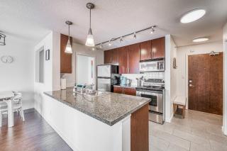 Great Ocean Mountain & City views with one free parking - Vancouver - 4