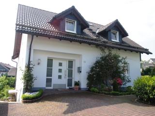 Rothaarnest - Winterberg - 1