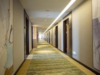 Green Tree Inn Hebei Handan Guantao County Weizheng Road - Guantao - 5