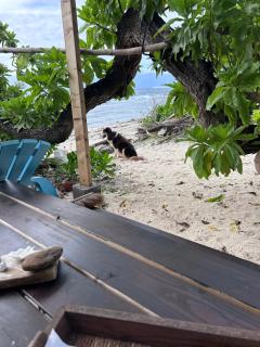 Ocean Side Bungalow - Teavaro - 6