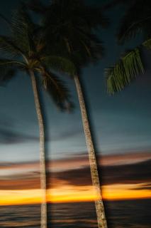 La Isla Mentawai - Private Boutique Villas & Surf Sanctuary - - 9