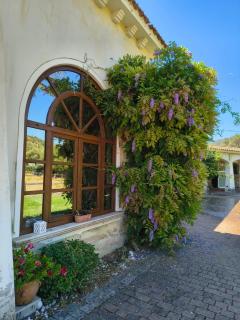 Tenuta Le Terre 1927 - 5