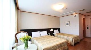 Danyang tourist hotel Edelweiss - Danyang - 4