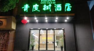Vatica Hefei Feidong County Yuzhou Central Square Hotel - Hefei - 3