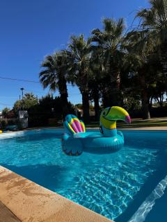 ΚΤΗΜΑ ΔΙΑΜΑΝΤΟΠΟΥΛΟΥ Παραθεριστική κατοικία - 2