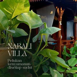 Nabali Villa - Kerobokan - 8