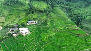 Bees Homestay Sapa & Trekking - Lào Cai - 4