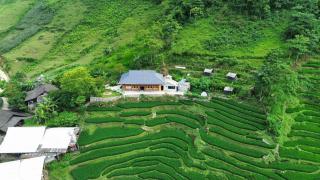 Bees Homestay Sapa & Trekking - Lào Cai - 2