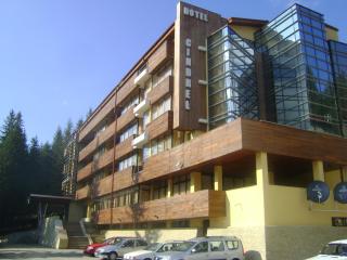 Hotel Cindrel - Păltiniş - 0