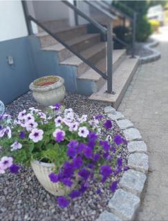 Chez Jeanine Maison Familiale - Schaeffersheim - 6