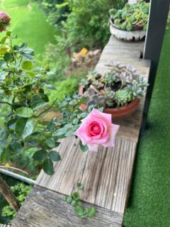 Hương Siu homestay - Mù Cang Chải - 8