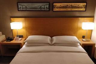 The Banjara luxury suites and condo - Hyderabad - 8