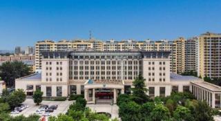 Xian Zhongfei GrandSkylight Hotel - Xi'an - 1