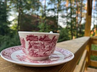 Leśna Oaza Radawa - 5