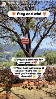 Το Λαϊνάκι by Fox Tale Guest House - Fternón - 9