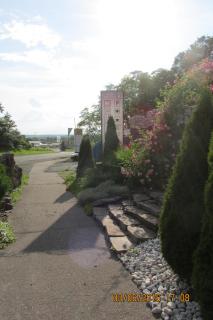 Motel Šofér - 7