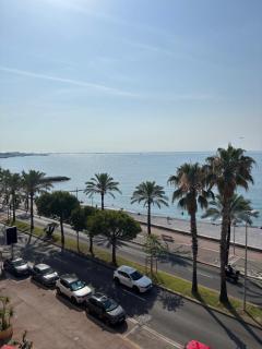 Paddock - Cagnes-sur-Mer - 5