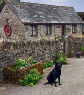 Fentrigan Manor Farm & Holiday Cottages - Bude - 4
