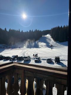 Chalet Monte Coston - Lastebasse - 7
