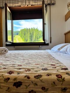 Chalet Monte Coston - Lastebasse - 6