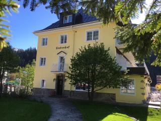 Hotel Lindenhof - Bad Gastein - 4