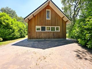 Chalet with gorgeous view of the natural surroundings - Weerselo - 2