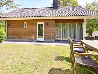 Chalet with gorgeous view of the natural surroundings - Weerselo - 7