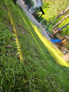 Apartament Martiany 1 - Kętrzyn - 8
