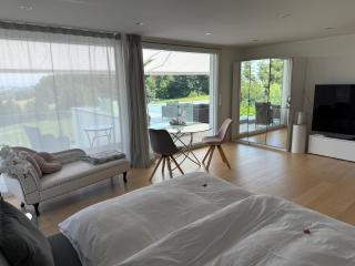 Deluxe Doppelzimmer mit Pool und Aussicht - Dänikon - 8