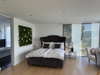 Deluxe Doppelzimmer mit Pool und Aussicht - 7