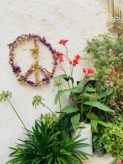 La Casina nel Trullo - Cocolicchio - 8