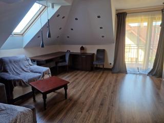 Brown room F in house - Pogórze - 9