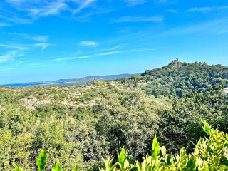 Mon Olivier - Villa with stunning sea view - 7