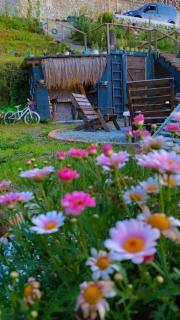 Lavinya Suit Bungalov - Rize - 5