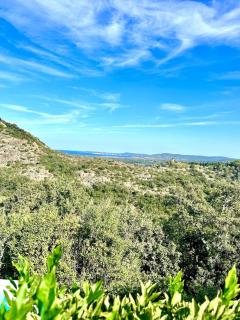 Mon Olivier - Villa with stunning sea view - Grimaud - 9
