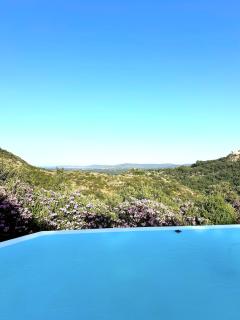 Mon Olivier - Villa with stunning sea view - Grimaud - 8