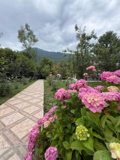 Mountain Pearl Villa 52 - Gabala - 7