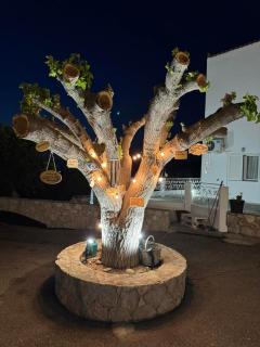 Agia Anna Horizon - Kranidi - 2