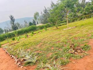 Akagera Able Lodge - - 9