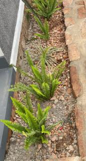 Akagera Able Lodge - - 3